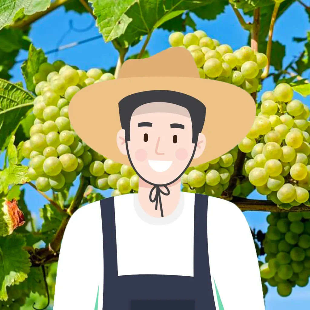 농부는 샤인 머스캣을 좋아해