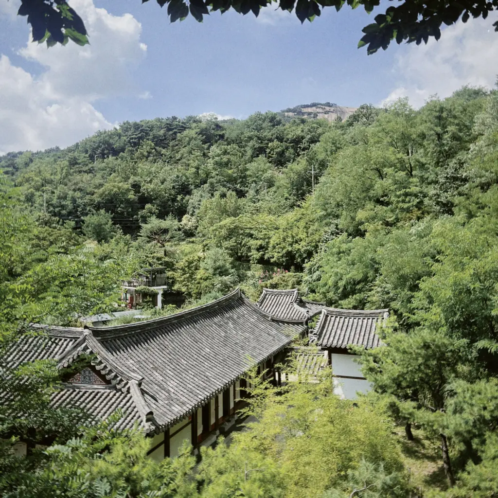 기와 위에 앉은 문학