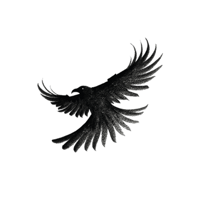 Raven AI