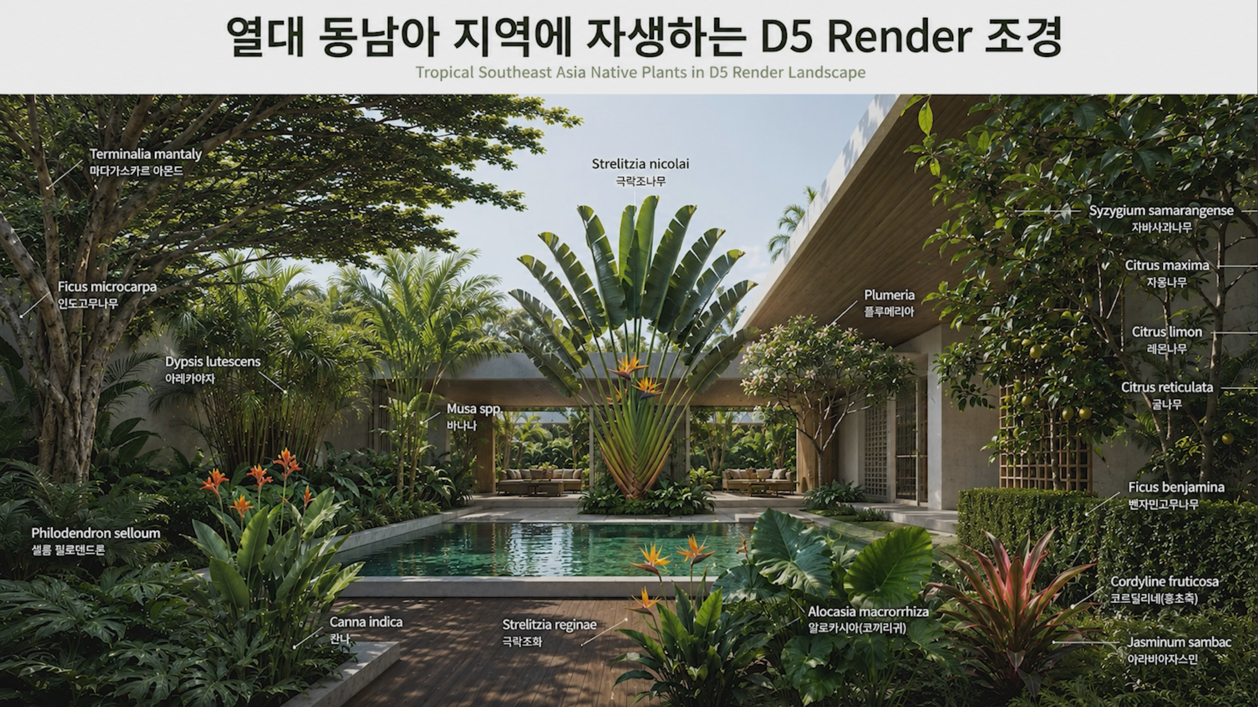 열대 조경과 외부 공간 스타일링