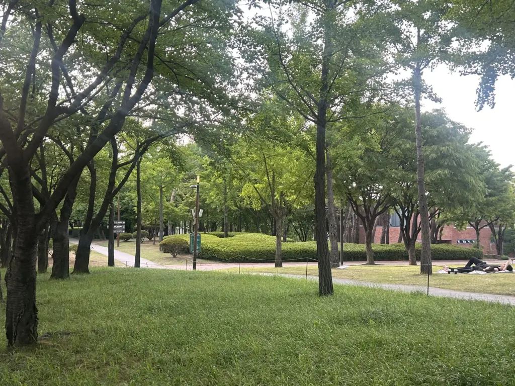 도시는 왜 이 낡은 공간들을 허물지 않았을까?